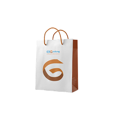 Paper Bag