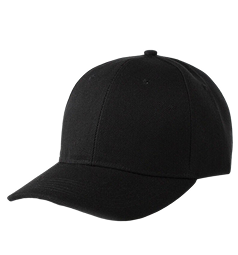 Topi